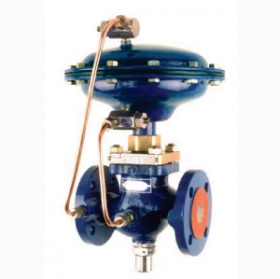 Self-operated differential pressure control valve