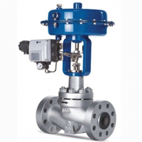 Single seat control valve